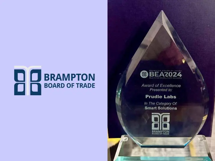 prudle Business Excellence Award
